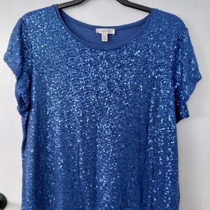 Dress Barn Sparkling Blue Short Sleeve Top